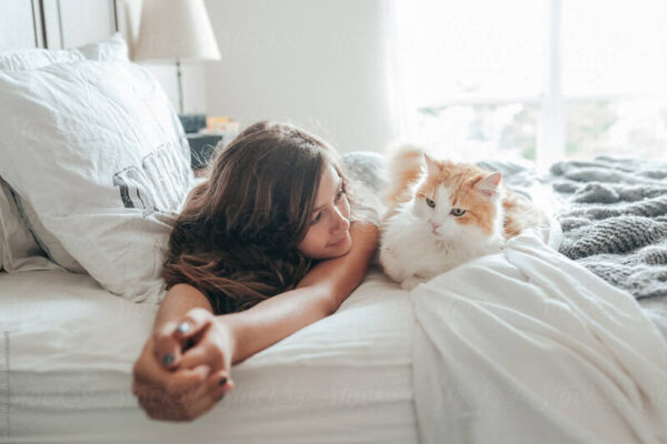 7 Effective Methods for Keeping Your Bedroom Cat-Free