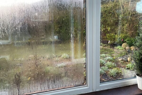A Clear Solution: Getting Rid of Condensation in Double Pane Windows