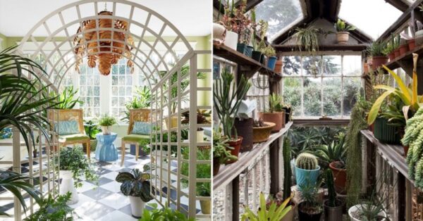 Bring Nature Indoors: 15 DIY Greenhouse Ideas for Your Home
