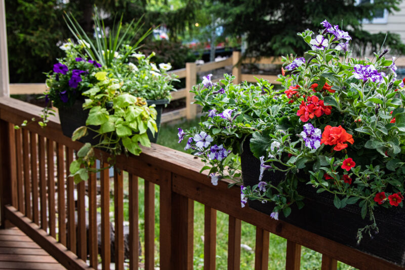 Deck Railing Planters: 7 Perfect Plants for a Beautiful Garden