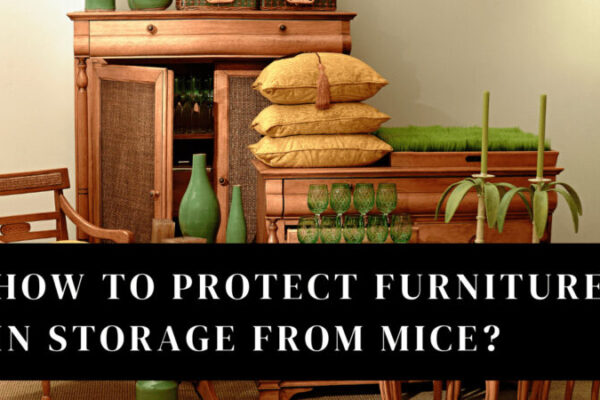 Mouse-Proof Your Furniture in Storage: Essential Tips and Tricks