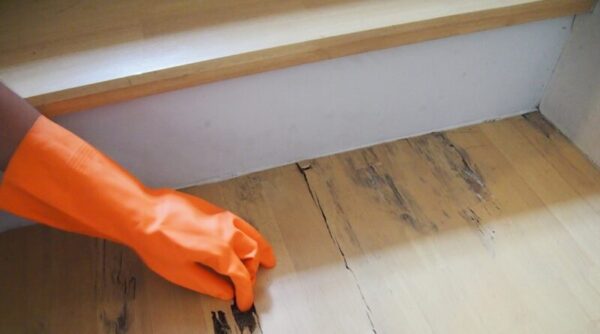 Salt vs. Fleas: Unleashing the Power of Salt on Hardwood Floors