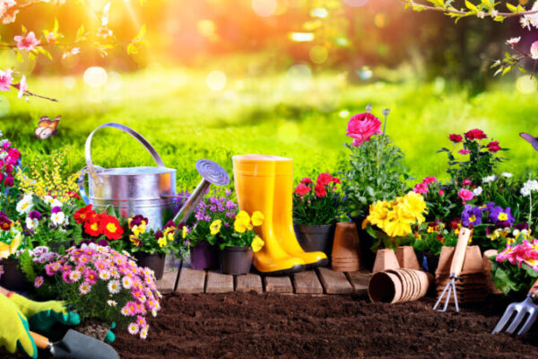 The 15 Best Gardening Tools