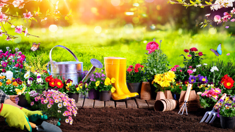 The 15 Best Gardening Tools