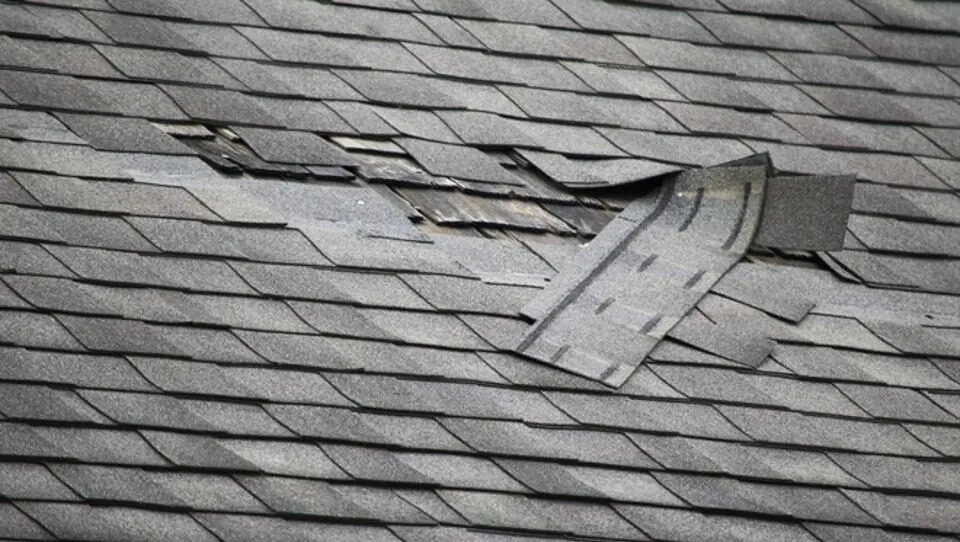 Expert Tips for Fixing a Leaky Garage Roof