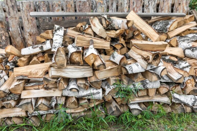 6 Places to Find Firewood for Free Without Breaking the Bank