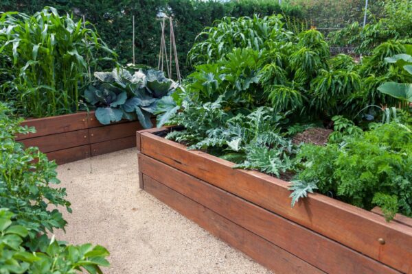 A Guide to Choosing the Right Metal Sheets for Garden Beds