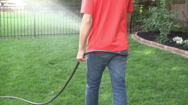 Cutter Backyard Bug Control: Your Secret Weapon Against Pests