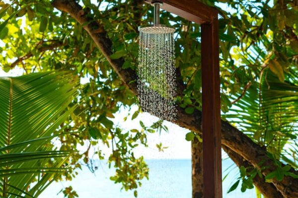 Discover the Best Outdoor Showers for Your Home: Where Functionality Meets Style