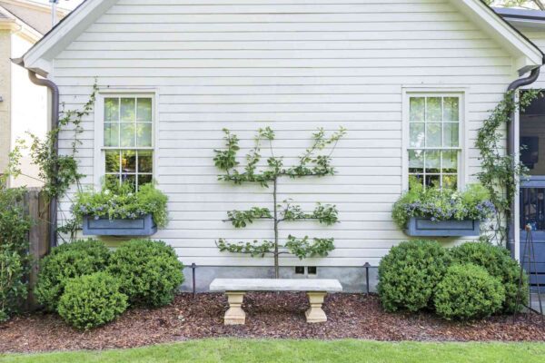 Enhance Your Curb Appeal: Fall Window Box Ideas for Every Style