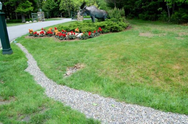 Essential Yard Drain Maintenance Tips for a Healthy Landscape