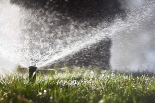 Expert Advice on Sprinkler Repair: Tips for Success
