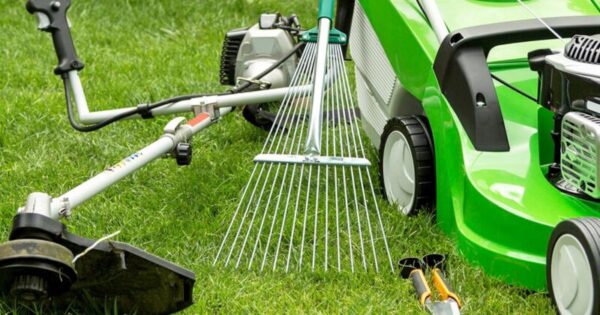 Innovative Techniques for Maintaining a Beautiful Lawn without a Mower