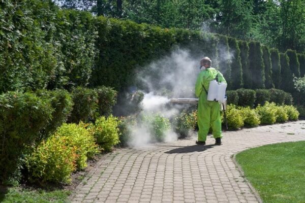 Keeping Your Yard Tick-Free: The Power of Spraying