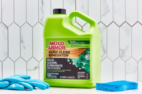 Mold Be Gone: Discover the Best Mold Removers for Your Home