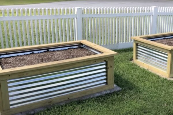 The Beauty of Corrugated Metal Flower Beds: A Guide to Creating a Beautiful Garden
