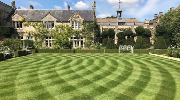 The Secret to Perfect Checkerboard Patterns in Your Grass