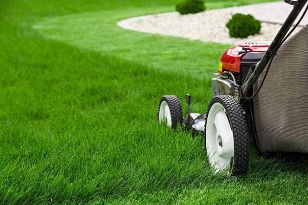 The Ultimate Guide to Mowing Techniques for a Perfect Lawn