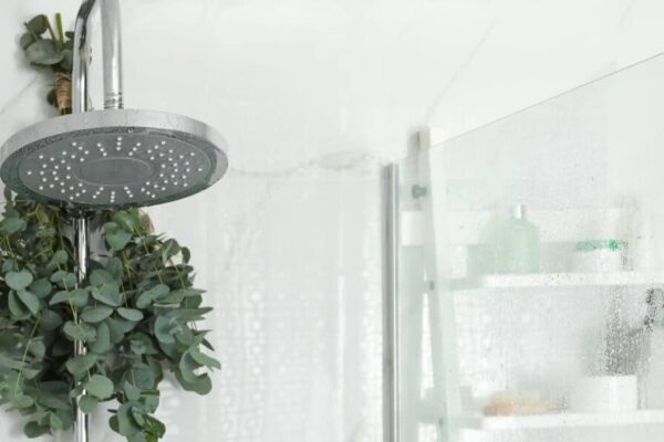 Transform Your Daily Shower Routine with a DIY Eucalyptus Shower Bundle