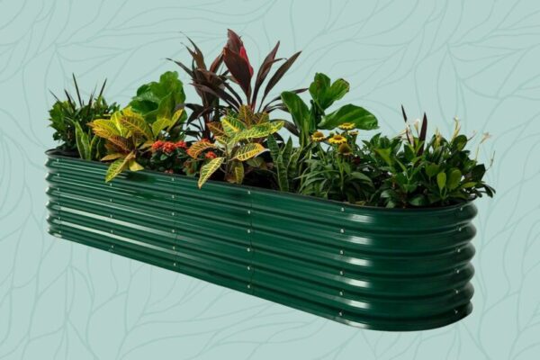 Vegega Garden Beds: The Perfect Choice for Your Outdoor Space