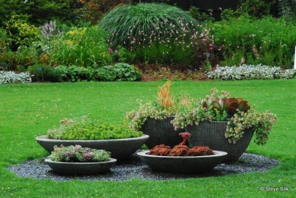 Discover the Best Plants to Beautify Your Drainfield without Damaging Your Septic System
