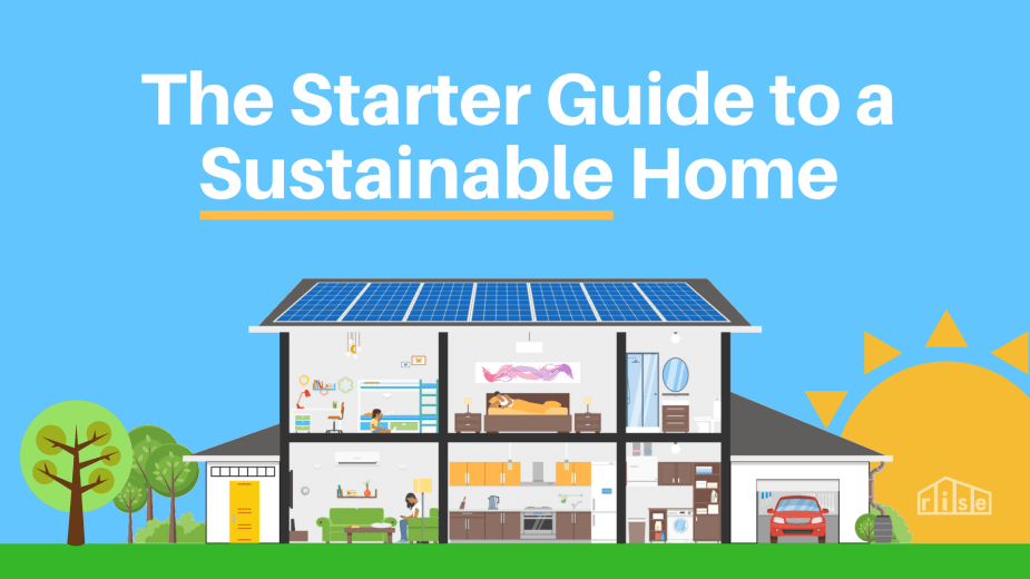 Key Considerations for Designing a Sustainable and Eco-Friendly Home