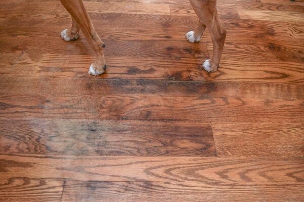 Unlock the Secret to Stunning Hardwood Floors: The Ultimate Hardwood Floor Stain Remover Guide